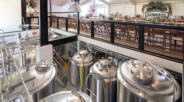 Noosa Brewery Tours